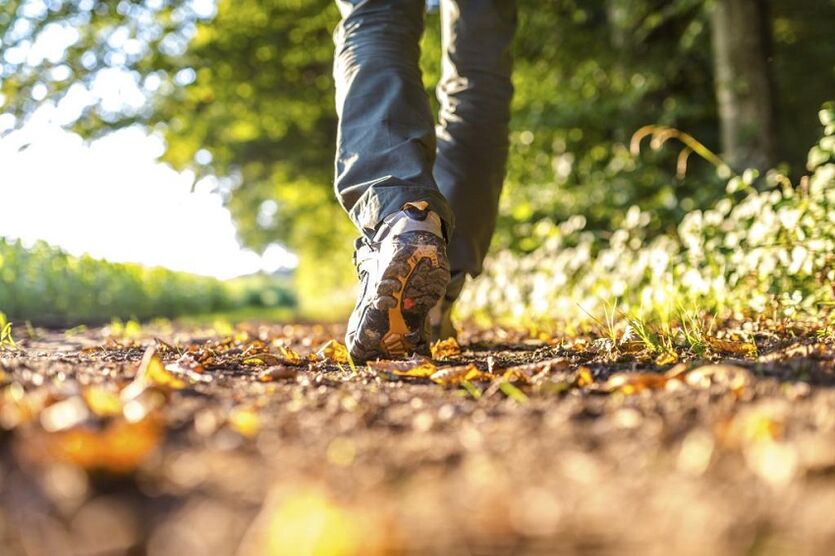 walk to prevent osteoarthritis
